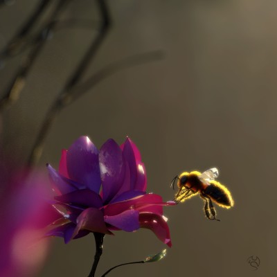 Bee - One of many