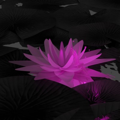 A fairy sitting on the water flower