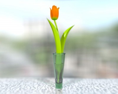 A flower - tulip