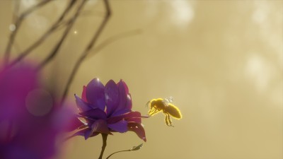 The bee